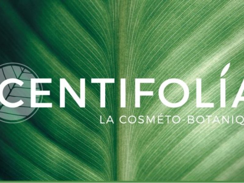 Centifolia BiH